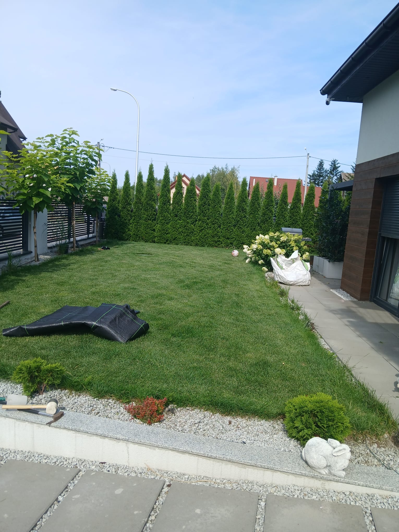 Uporządkowany ogród przydomowy z równo przystrzyżonym trawnikiem, ozdobnymi tujami wzdłuż ogrodzenia, elementami dekoracyjnymi z kamienia i figurką królika, widoczna czarna agrowłóknina i narzędzia...