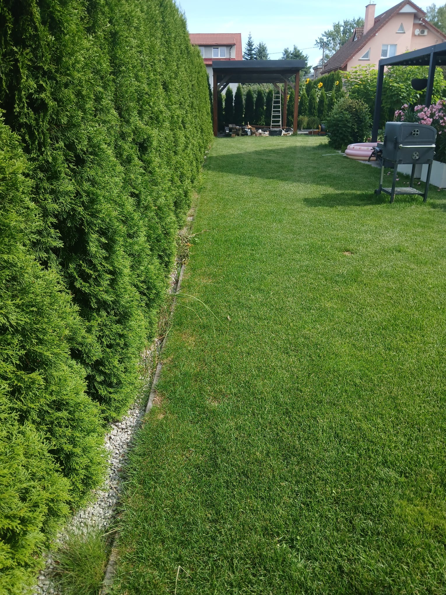 Zadbany trawnik przylegający do rzędu wysokich, gęstych żywopłotów z tuj, w tle widoczna pergola z drabinką i elementy wyposażenia ogrodu.