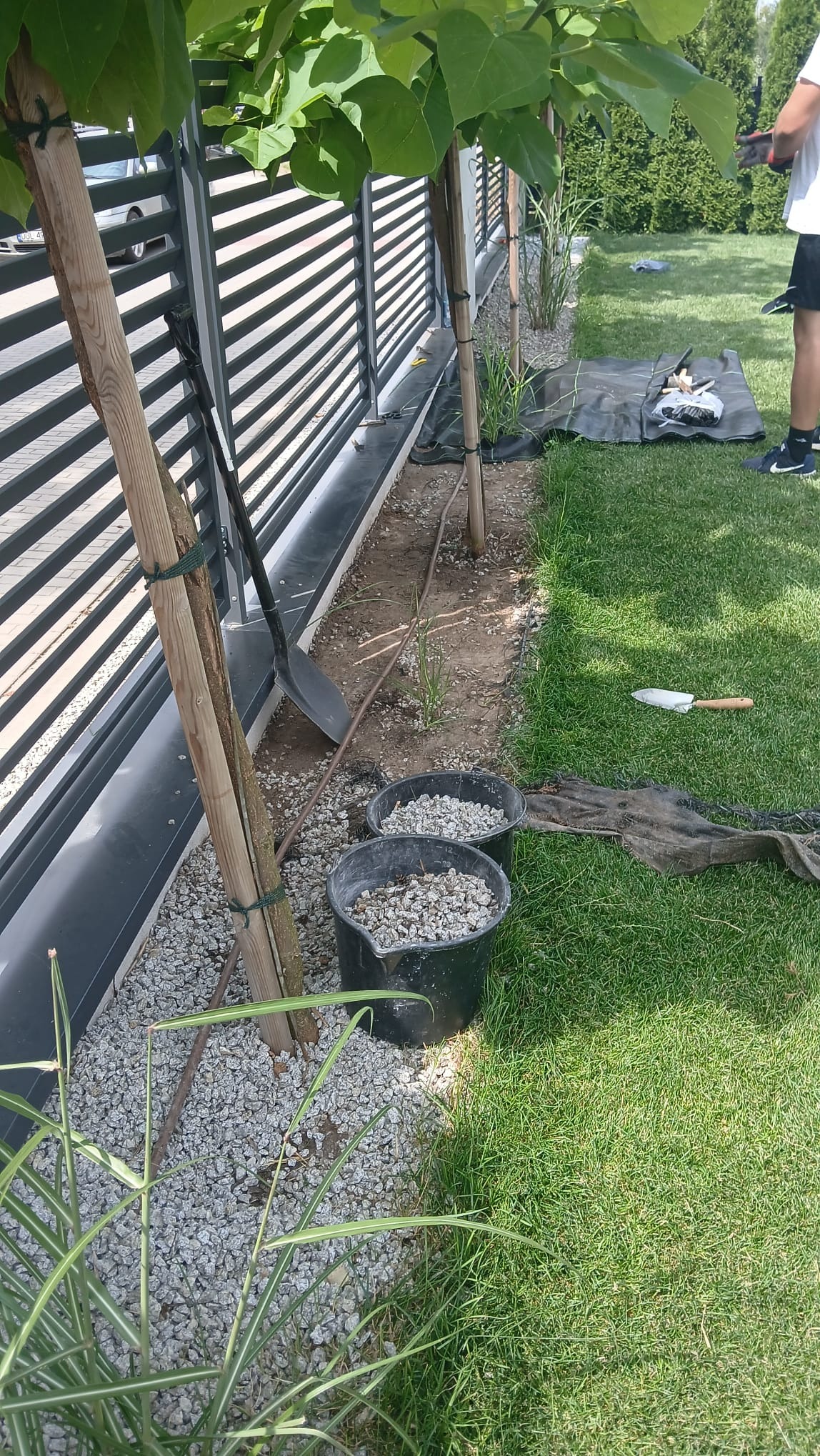 Przygotowanie do sadzenia drzewek przy nowoczesnym ogrodzeniu: drzewka podwiązane do palików, obok dwa wiadra z kamyczkami, łopata i szpadel na ziemi, narzędzia na czarnej macie.