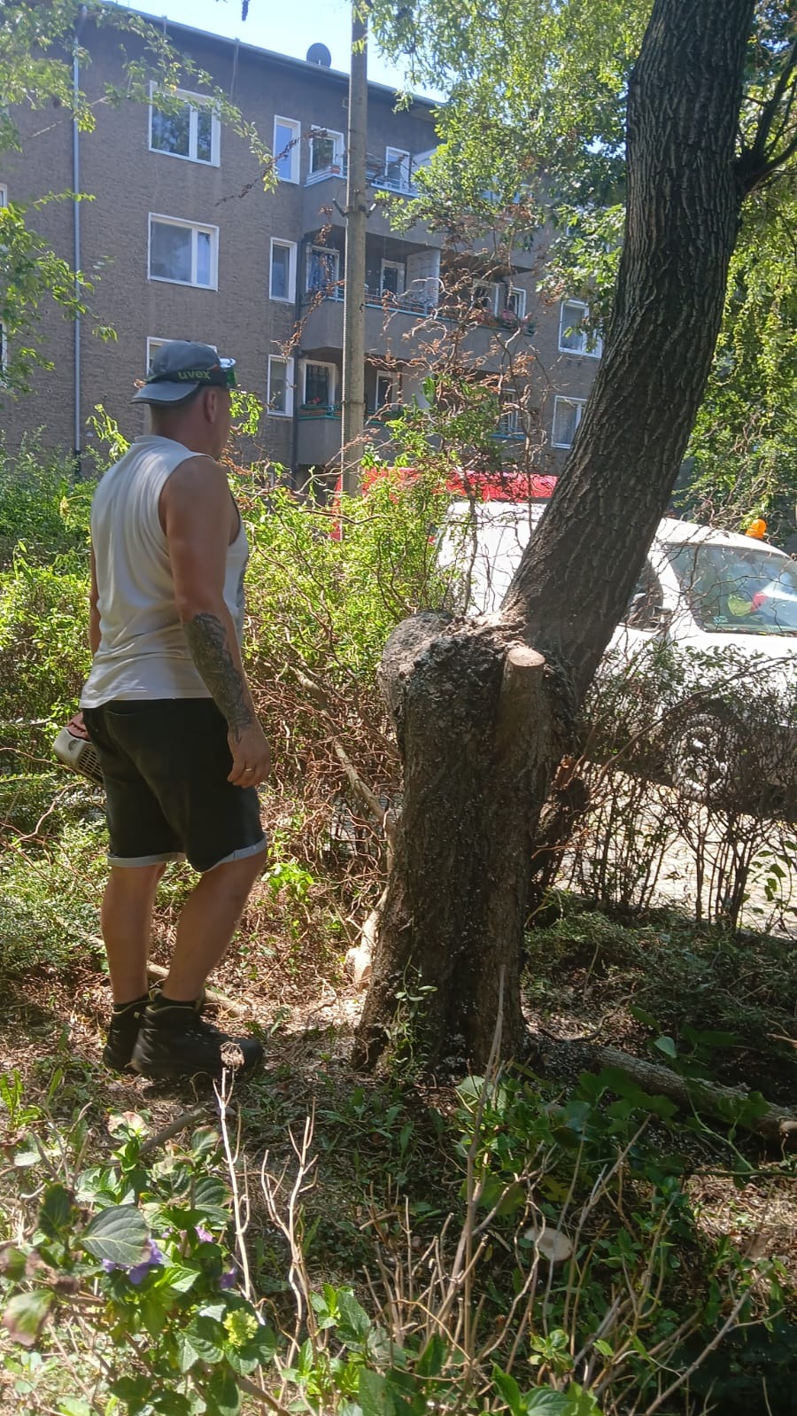 Mężczyzna z tatuażem na ramieniu, w szarym kapeluszu i z piłą spalinową w dłoni, stoi obok częściowo przyciętego drzewa w miejskim otoczeniu, z widocznym budynkiem mieszkalnym w tle.