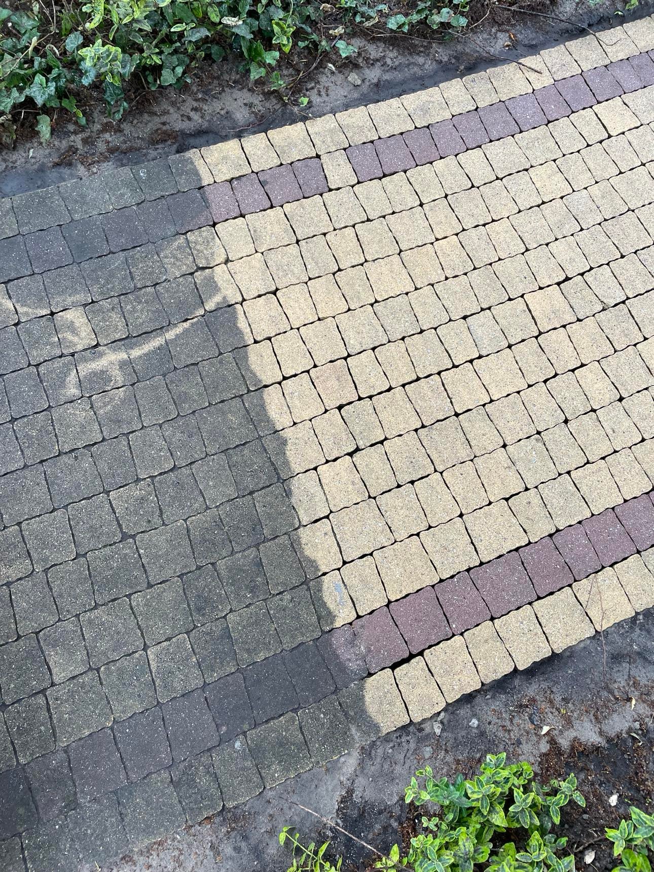 Częściowo wyczyszczona kostka brukowa, widoczny kontrast między umytą a brudną powierzchnią, z zaroślami w tle.