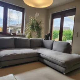 Szara, modułowa sofa narożna w jasnym salonie z widokiem na ogród przez okno; na oparciu siedzi szary kot.