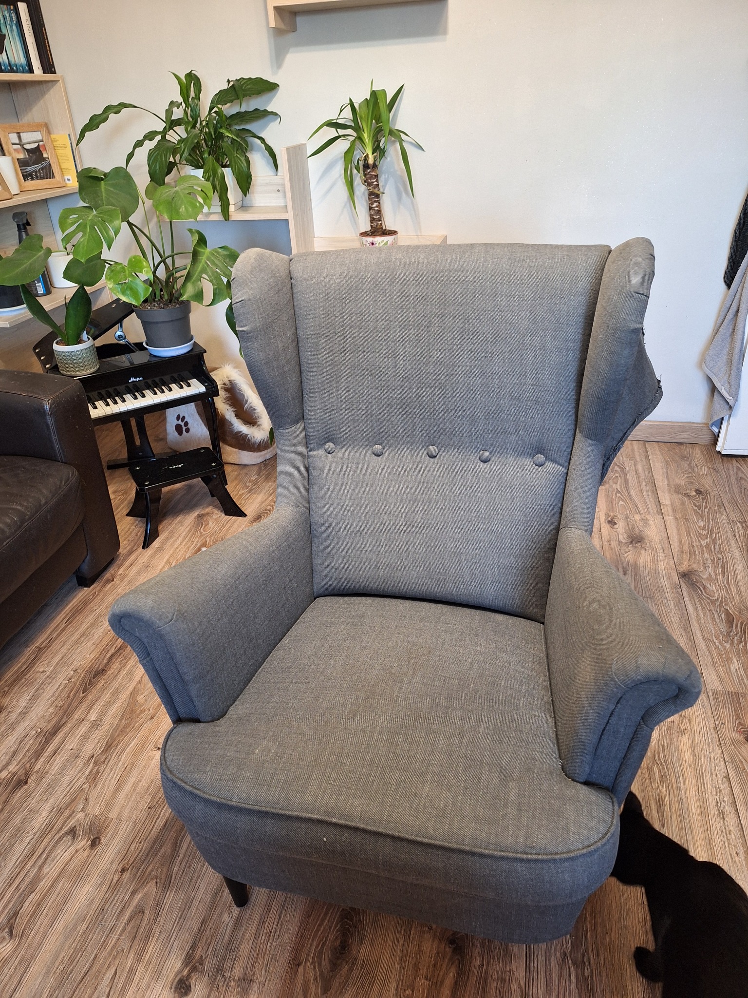 Szary fotel uszak na drewnianej podłodze, z widocznymi roślinami w tle i fragmentem czarnego kota w prawym dolnym rogu.