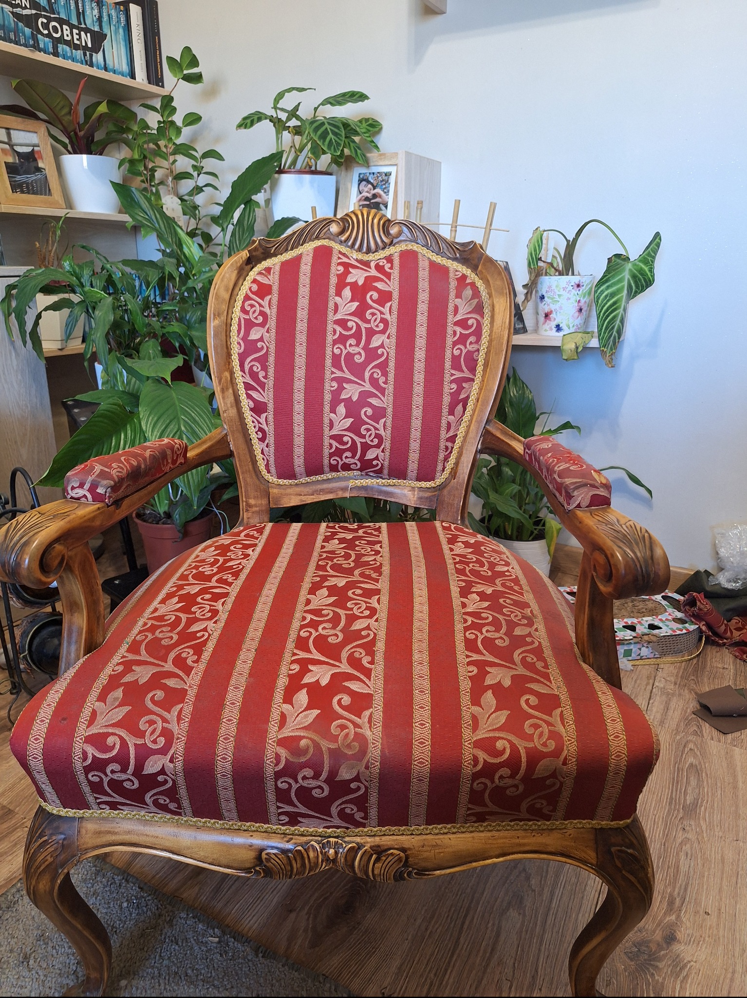 Odrestaurowany fotel w stylu Ludwika XVI z czerwono-złotą tapicerką w paski i ornamenty, na drewnianym stelażu z rzeźbionymi elementami, otoczony roślinami doniczkowymi.
