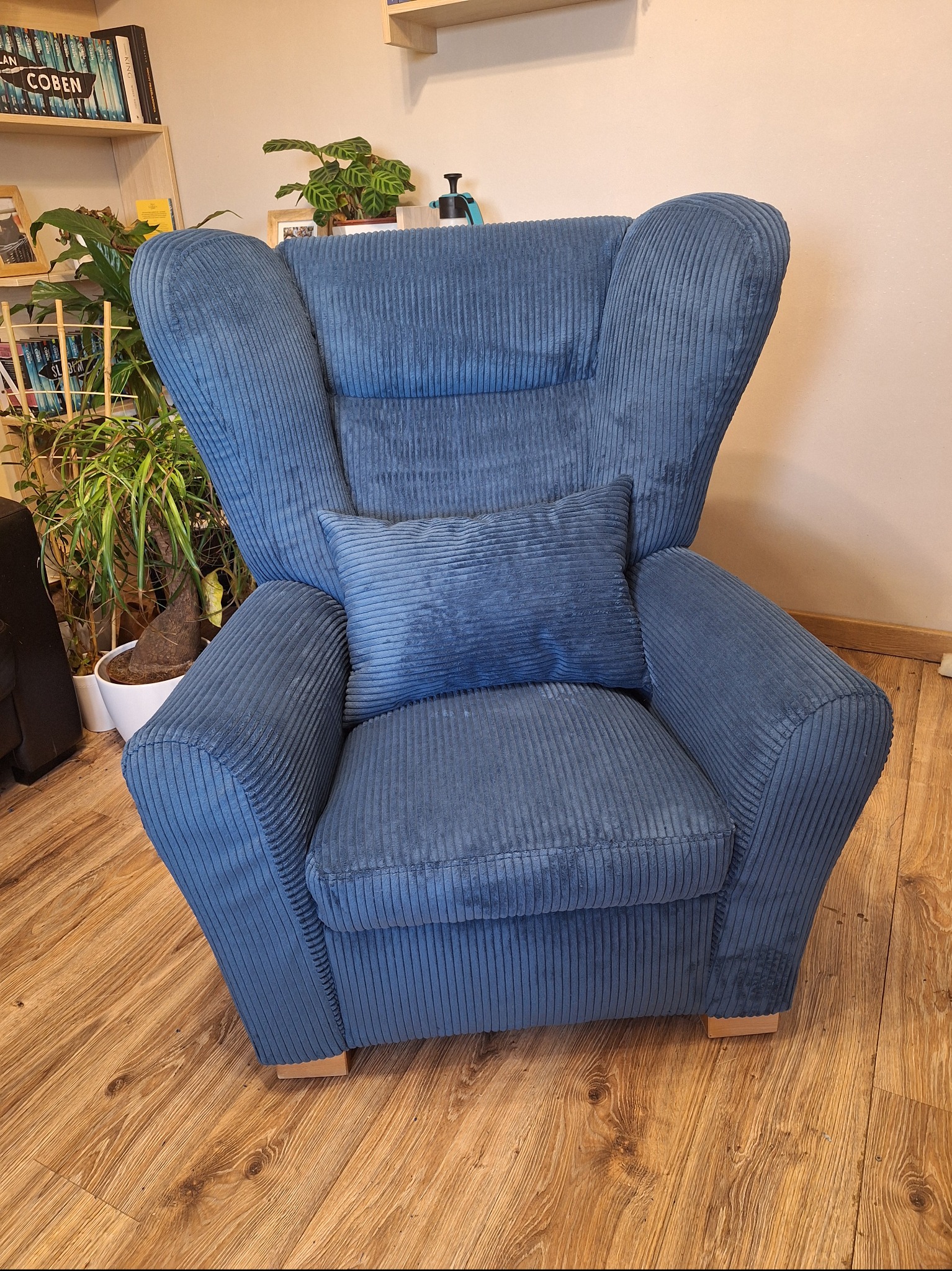Niebieski fotel uszak obity sztruksem z poduszką, na drewnianej podłodze, w tle regał z książkami i roślinami doniczkowymi.