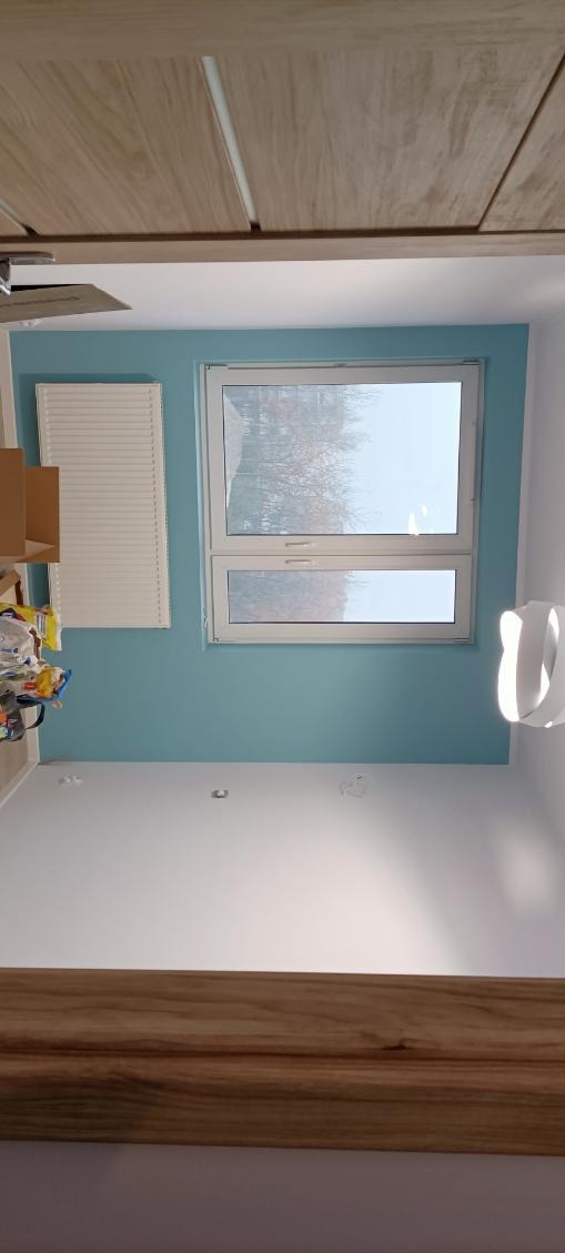 Świeżo pomalowane na turkusowo górne partie ścian w pokoju z białymi ścianami poniżej, grzejnikiem i oknem z widokiem na drzewa.