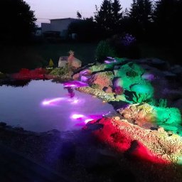 Trawa z rolki Słupsk 4