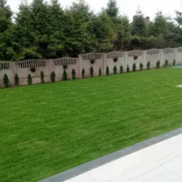 Perfekcyjnie utrzymany trawnik z rolki, równo przystrzyżony, z dekoracyjnym betonowym ogrodzeniem obsadzonym tujami i wiszącymi donicami z kwiatami.