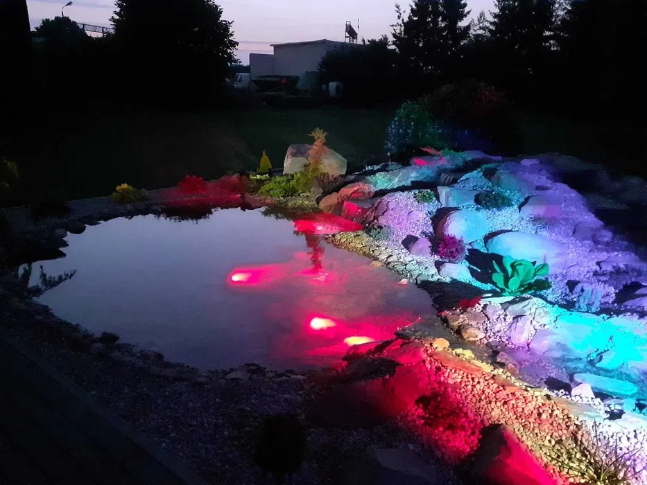 Oświetlone oczko wodne nocą z czerwonymi i niebieskimi światłami, kamieniami i roślinami na brzegu.