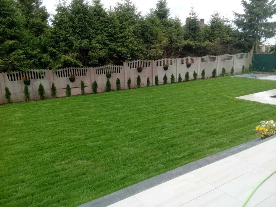 Perfekcyjnie utrzymany trawnik z rolki, równo przystrzyżony, z dekoracyjnym betonowym ogrodzeniem obsadzonym tujami i wiszącymi donicami z kwiatami.