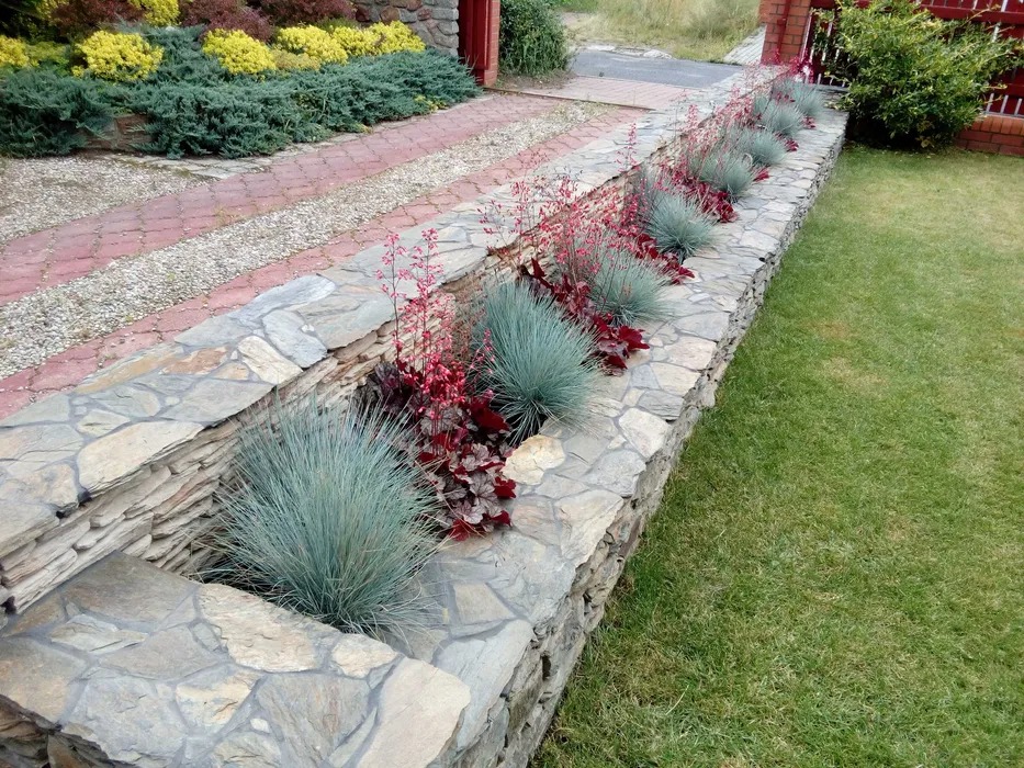 Kamienna rabata z ozdobnymi trawami i czerwonymi kwiatami, oddzielająca trawnik od ścieżki z kostki i żwiru.