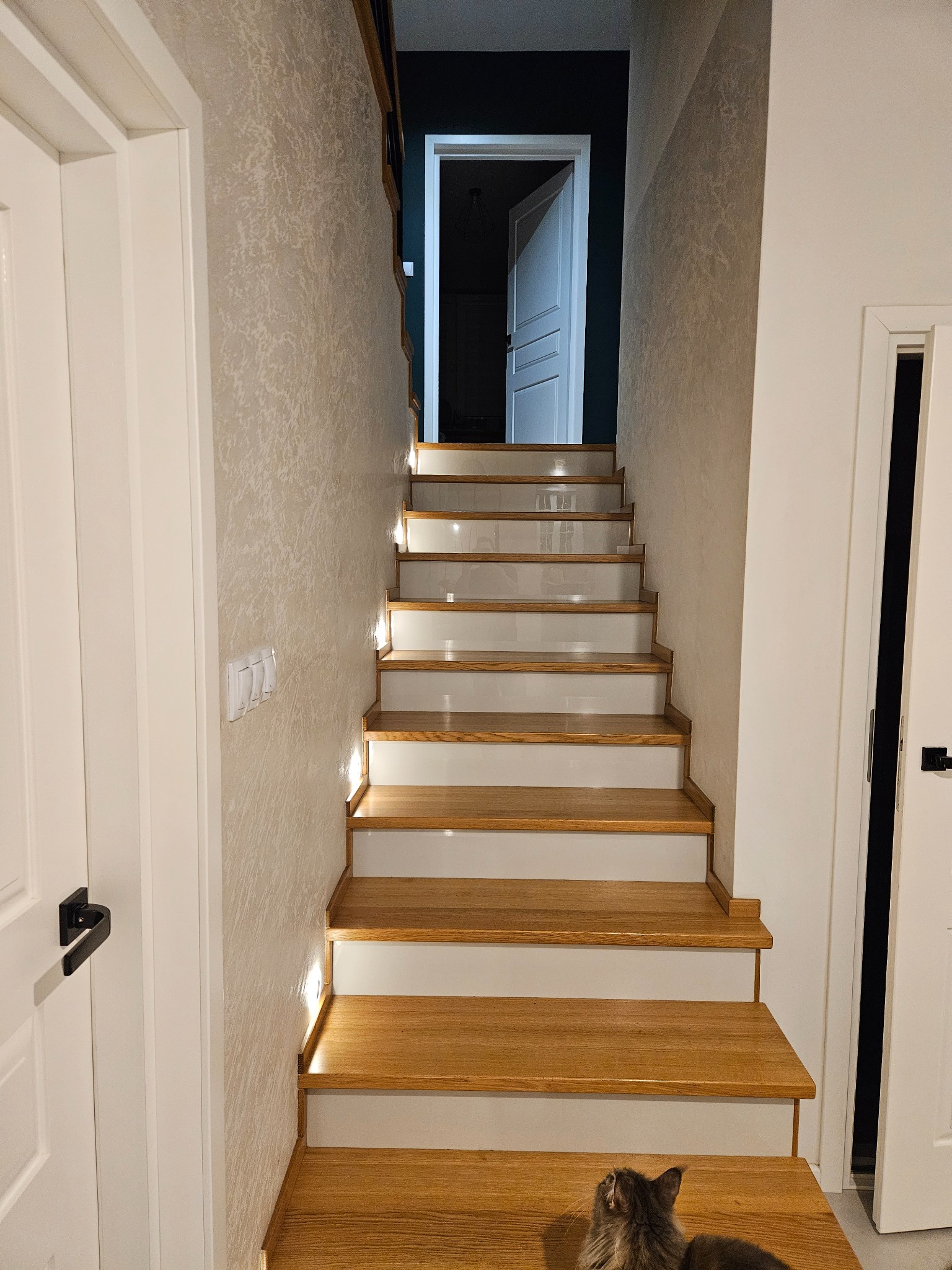 Drewniane schody z białymi podstopnicami i oświetleniem LED w ścianie, prowadzące do otwartych drzwi, z szarym kotem siedzącym na dolnym stopniu.