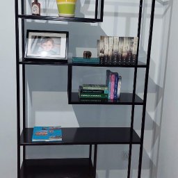 Zbyszek Molenda - Czarny, metalowy regał o geometrycznej konstrukcji, z książkami, ramką ze zdjęciem i roślinami, ustawiony w rogu pokoju na drewnianej podłodze.