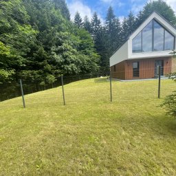 Wycinka drzew Wadowice 2