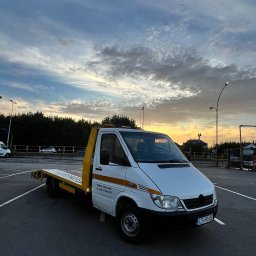 Tworzenie stron internetowych Trzebownisko 2