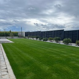 Green Home Łukasz Ogiejko - Perfekcyjnie utrzymany trawnik z równo przystrzyżoną trawą, obrzeżem z kostki i nowoczesnym ogrodzeniem panelowym. Krzewy ozdobne wzdłuż ogrodzenia. Pochmurne niebo.