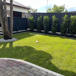 Green Home Łukasz Ogiejko - Zadbany ogród z równo przystrzyżoną trawą, obrzeżami z kamienia i rzędem krzewów wzdłuż ciemnego ogrodzenia. Widoczny fragment kostki brukowej i cień drzewa.