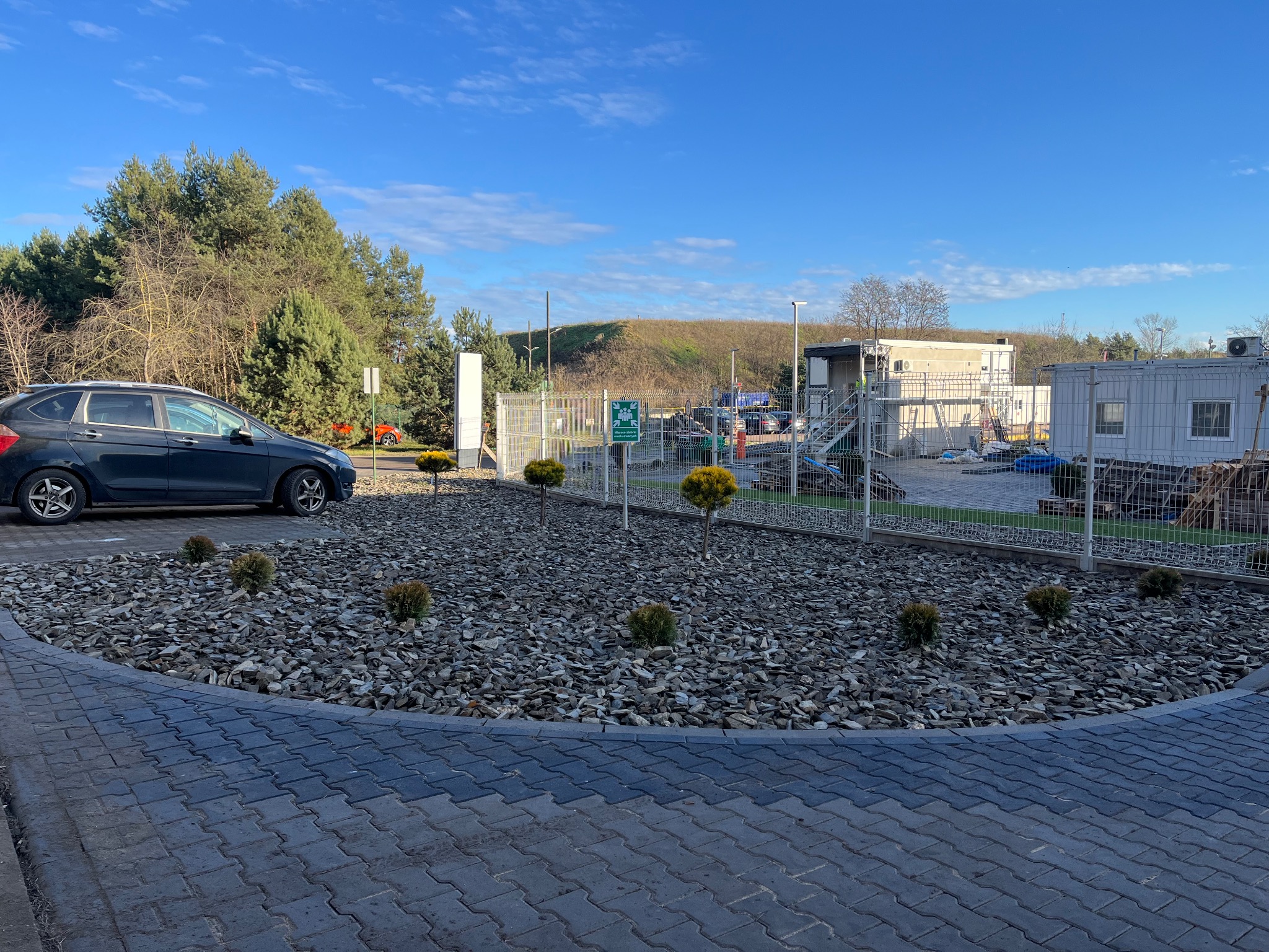 Obrzeże z kostki brukowej otacza rabatę wysypaną grysem, na której rosną małe, kuliste tuje. W tle zaparkowany samochód i budynki kontenerowe.