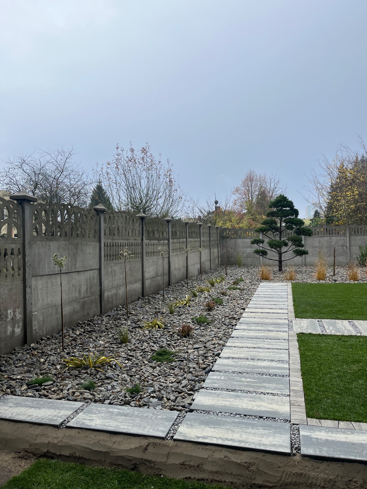 Nowoczesny ogród z kamienną ścieżką, ozdobnym drzewem i rabatami wysypanymi grysem. Betonowy płot w tle. Ujęcie z poziomu gruntu, pochmurny dzień.