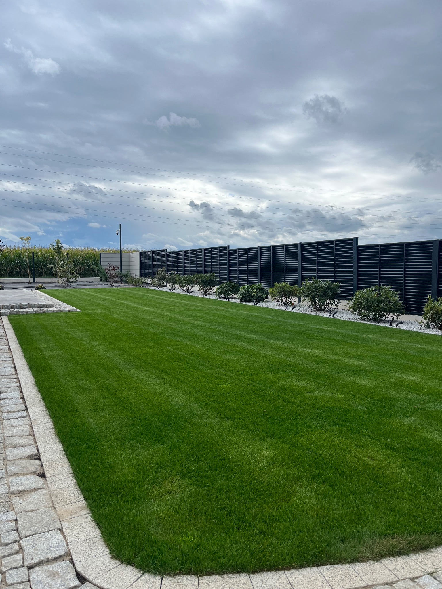 Perfekcyjnie utrzymany trawnik z równo przystrzyżoną trawą, obrzeżem z kostki i nowoczesnym ogrodzeniem panelowym. Krzewy ozdobne wzdłuż ogrodzenia. Pochmurne niebo.