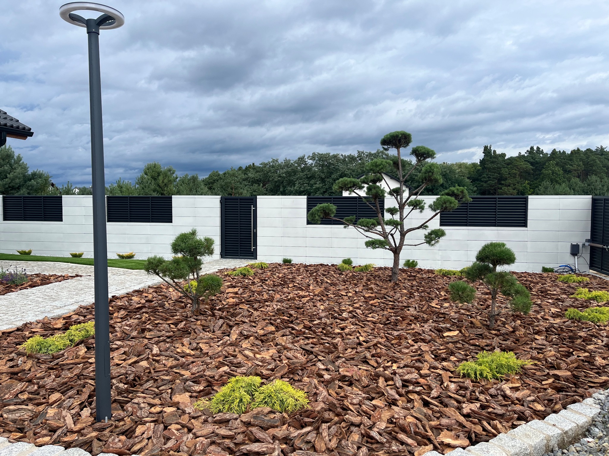 Ogród z korą, ozdobnymi drzewkami i krzewami na tle nowoczesnego ogrodzenia. Widoczna lampa ogrodowa i ścieżka z kamienia. Pochmurne niebo w tle.