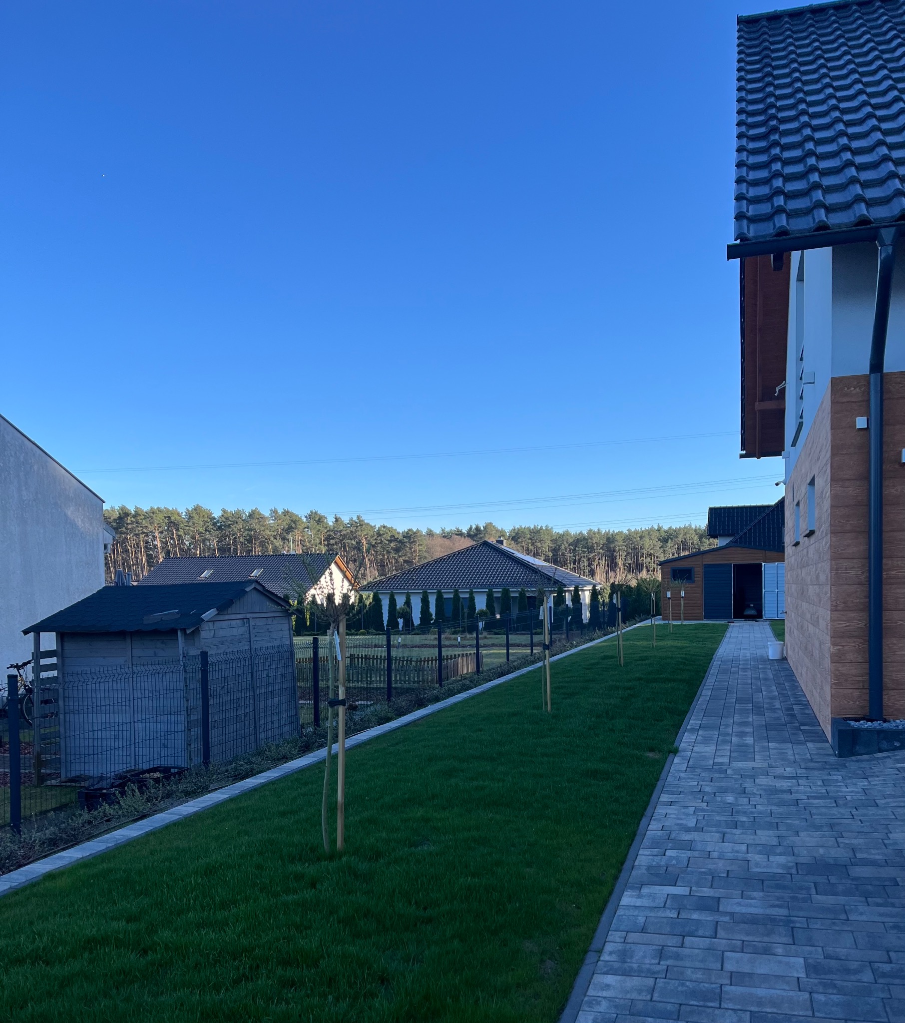 Świeżo założony trawnik z rolki, obrzeża z kostki, młode drzewka wzdłuż ogrodzenia. W tle zabudowa jednorodzinna i las. Błękitne niebo.