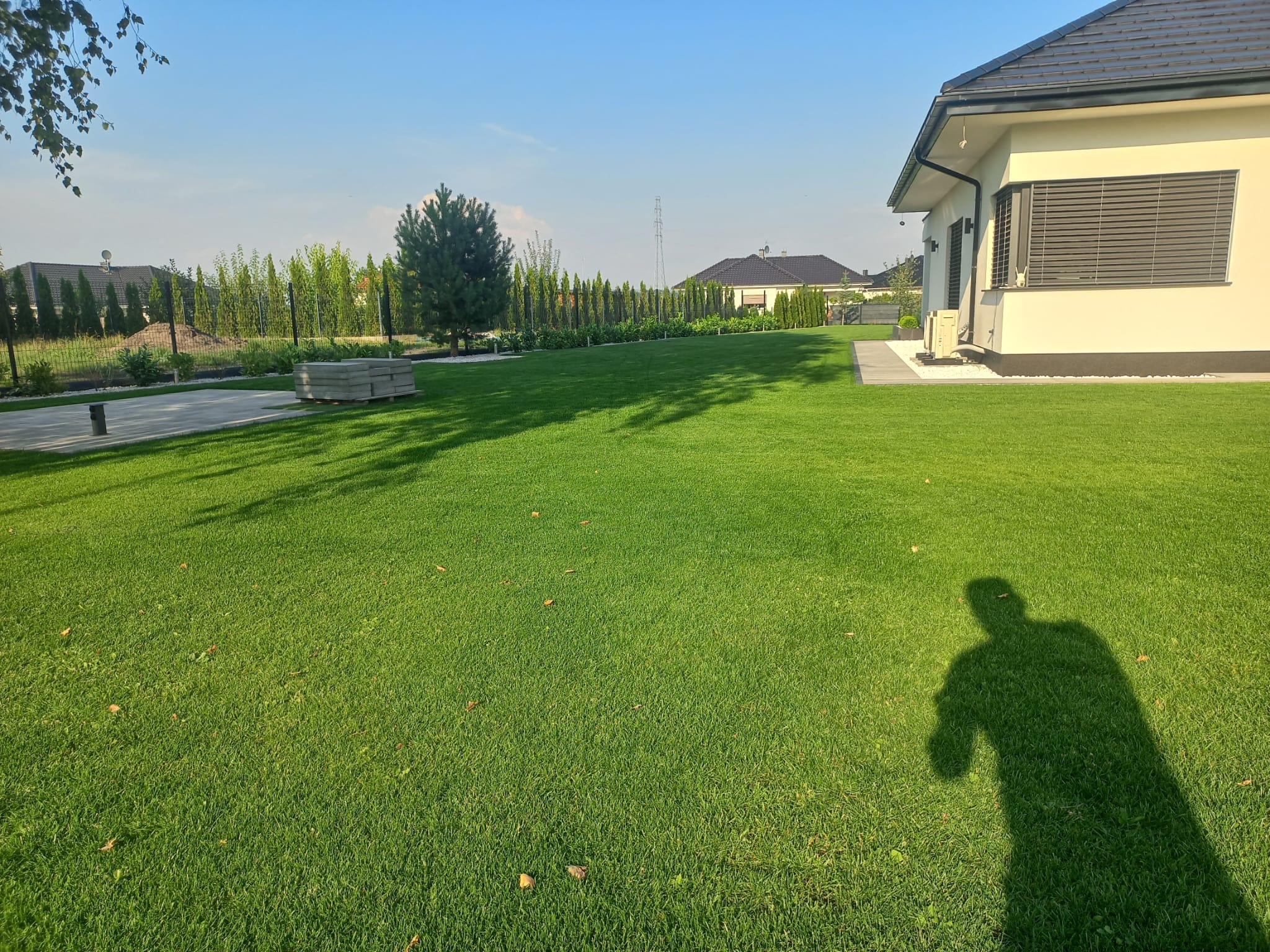 Zadbany trawnik przed nowoczesnym domem z ciemną dachówką. W tle rząd tuj i drzewo iglaste. Na trawie cień osoby.