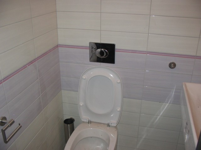 Toaleta z otwartą klapą w łazience wyłożonej białymi i fioletowymi kafelkami, widoczny chromowany przycisk spłuczki i uchwyt na papier toaletowy.