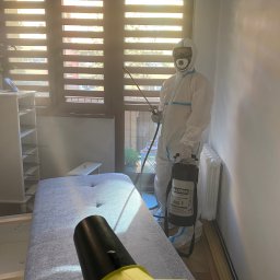 Dezynsekcja i deratyzacja Szczawno-Zdrój 1