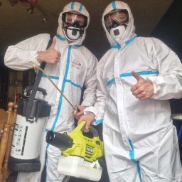 Dezynsekcja i deratyzacja Szczawno-Zdrój 3