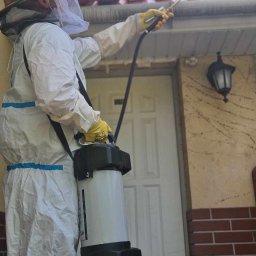 Dezynsekcja i deratyzacja Szczawno-Zdrój 4