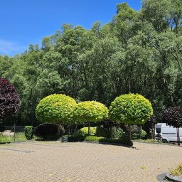 Koszenie trawy Cieszyn 1