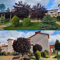 Koszenie trawy Cieszyn 3