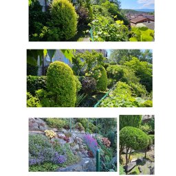 Koszenie trawy Cieszyn 4