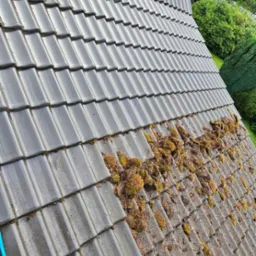 Częściowo umyty dach z szarej dach&oacute;wki, na prawej stronie widoczny brud i mech, po lewej stronie czysta powierzchnia po myciu ciśnieniowym, niebieski wąż myjki ciśnieniowej w lewym dolnym rogu.