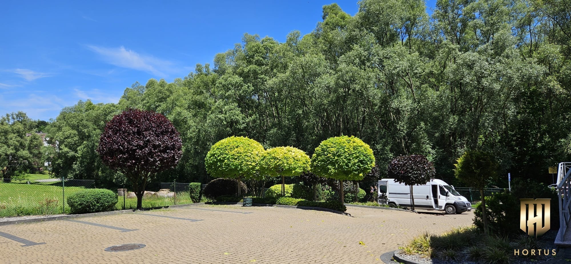 Uformowane drzewa ozdobne, kuliste korony, drzewo o purpurowych liściach, na tle zielonego lasu i błękitnego nieba, kostka brukowa, biały van z otwartymi drzwiami, logo firmy ogrodniczej.