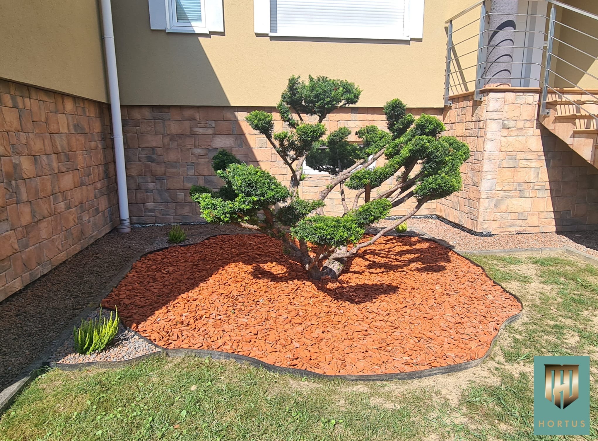 Formowane drzewko iglaste otoczone korą na tle elewacji domu z elementami kamiennymi i schodami.