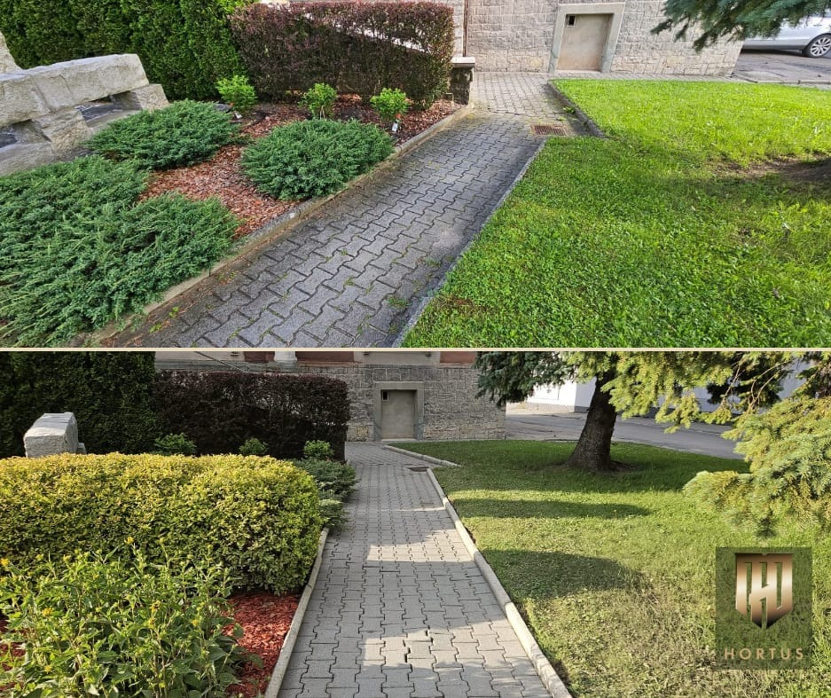 Porównanie stanu kostki brukowej przed i po czyszczeniu, widoczne różnice w kolorze i usunięte zabrudzenia, otoczenie z zadbaną zielenią i krzewami.