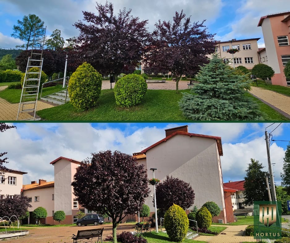 Dwuczęściowe zdjęcie przedstawia park z różnorodną roślinnością ozdobną: drzewa o purpurowych liściach, formowane krzewy iglaste i liściaste, oraz drabina oparta o drzewo w górnej części zdjęcia.