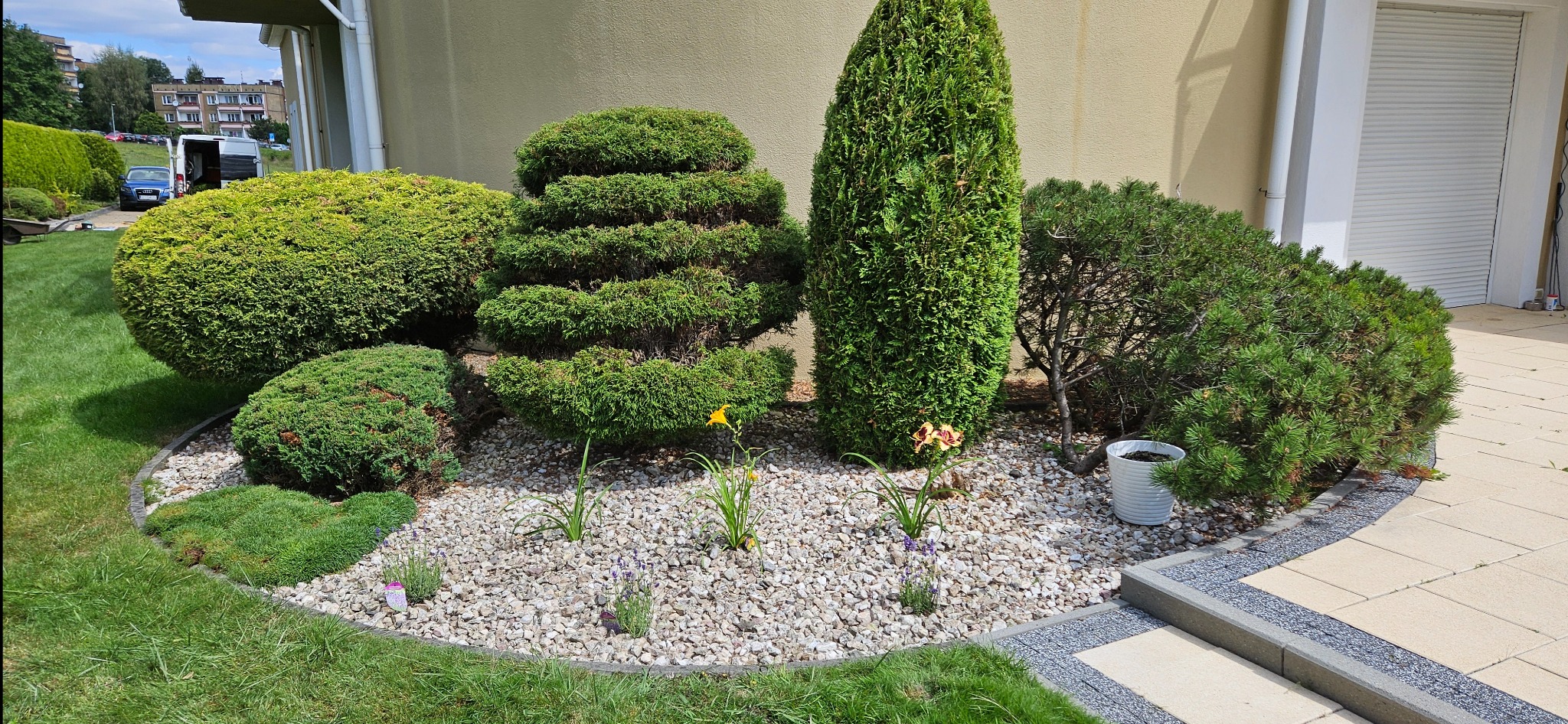 Uformowane krzewy i drzewa w ozdobnym ogrodzie z białymi kamykami, widoczne pojedyncze kwiaty i obrzeże z kostki brukowej.