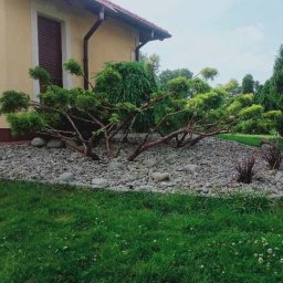 Pielęgnacja ogrodów Ostrów Wielkopolski 4