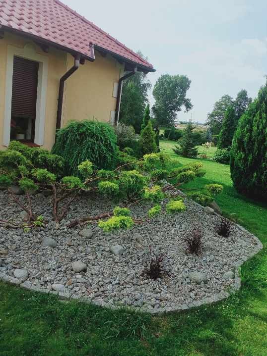 Uformowany skalniak z krzewami iglastymi i ozdobną korą kamienną na tle domu z czerwoną dachówką i zielonego trawnika.