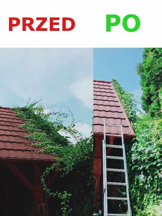 Zdjęcie typu 'przed' i 'po' przedstawiające dach budynku z czerwonej dachówki. Część 'przed' ukazuje dach porośnięty gęstą roślinnością, natomiast część 'po' prezentuje ten sam dach po usunięciu...