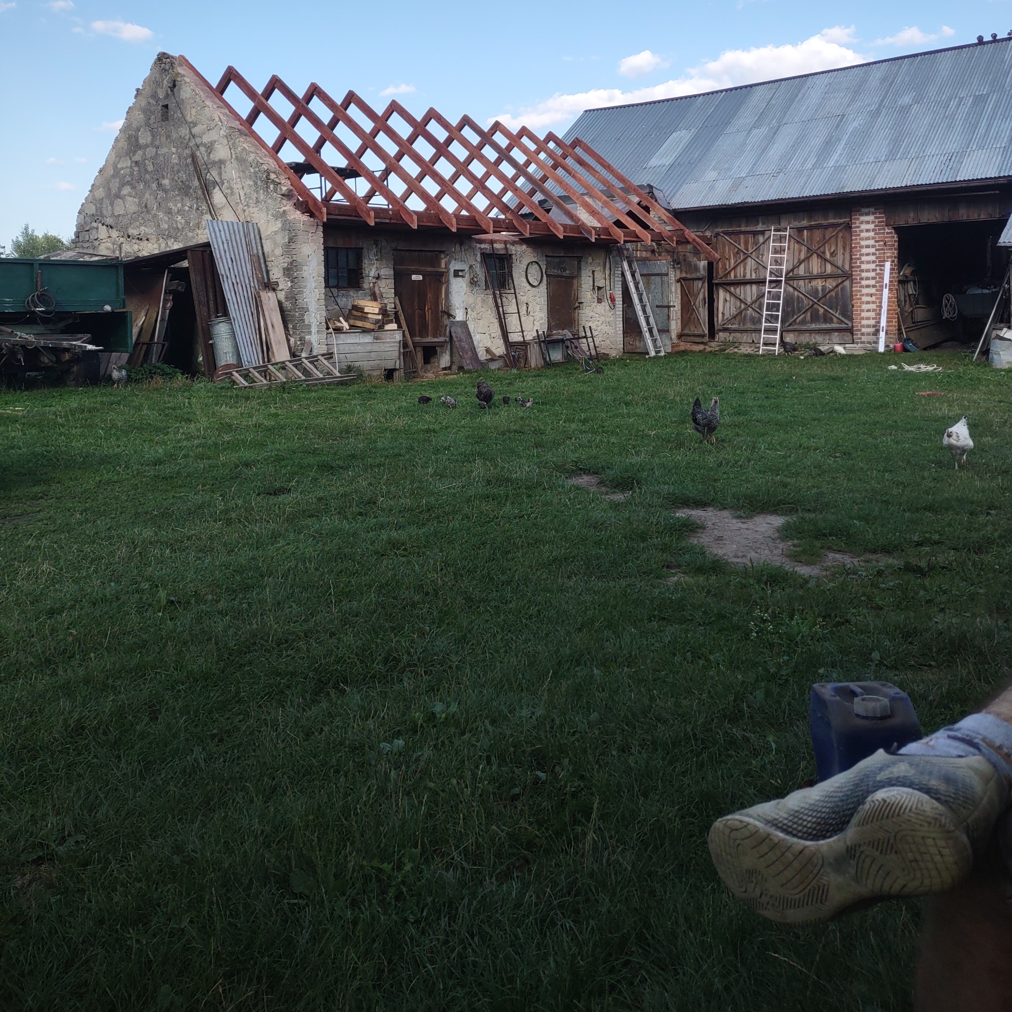 Stary budynek gospodarczy z częściowo zdjętym dachem, widoczna więźba dachowa, na podwórku kury, w tle drabiny i sprzęt gospodarczy.