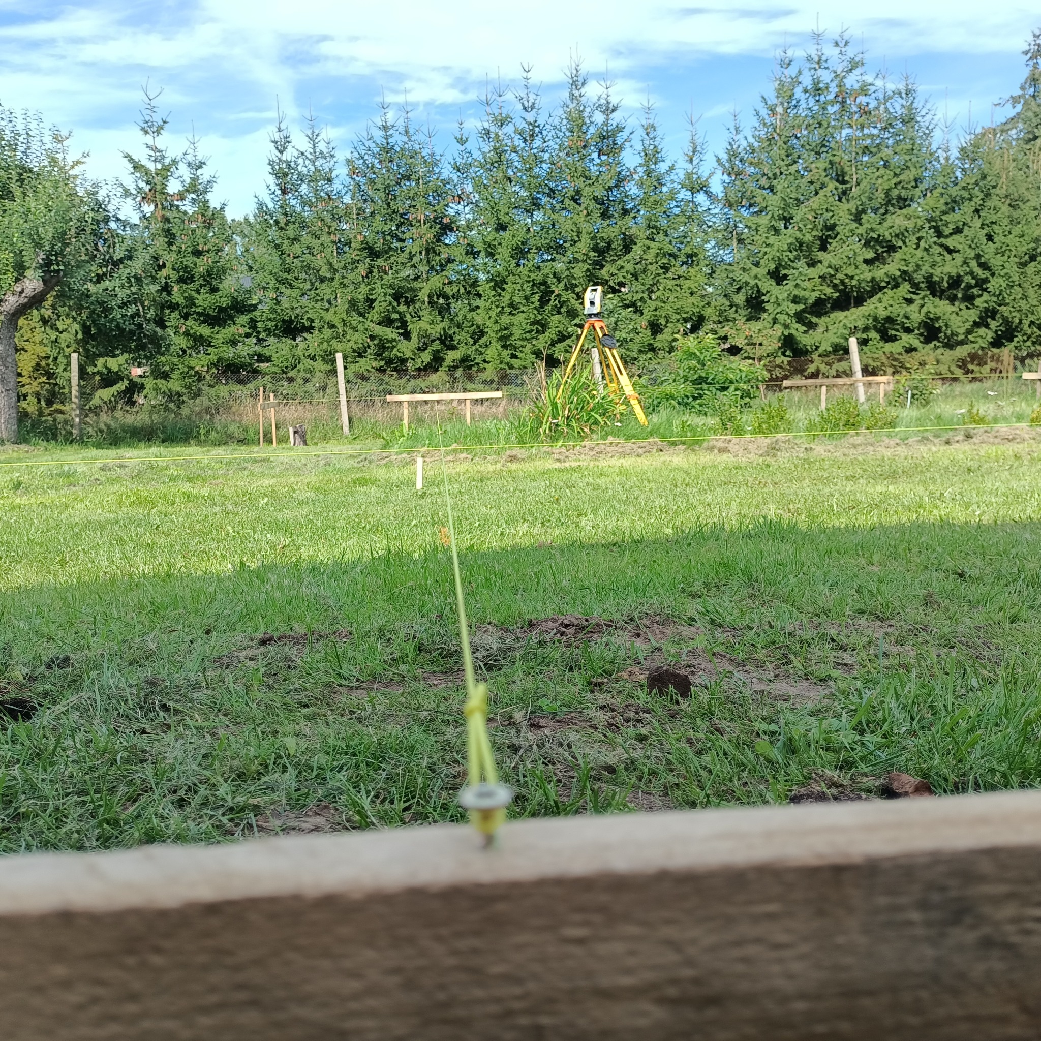 Żółta nić geodezyjna napięta na tle zielonej trawy i drzew, z widocznym niwelatorem na statywie w oddali, kadrowana z perspektywy bliskiej ziemi.