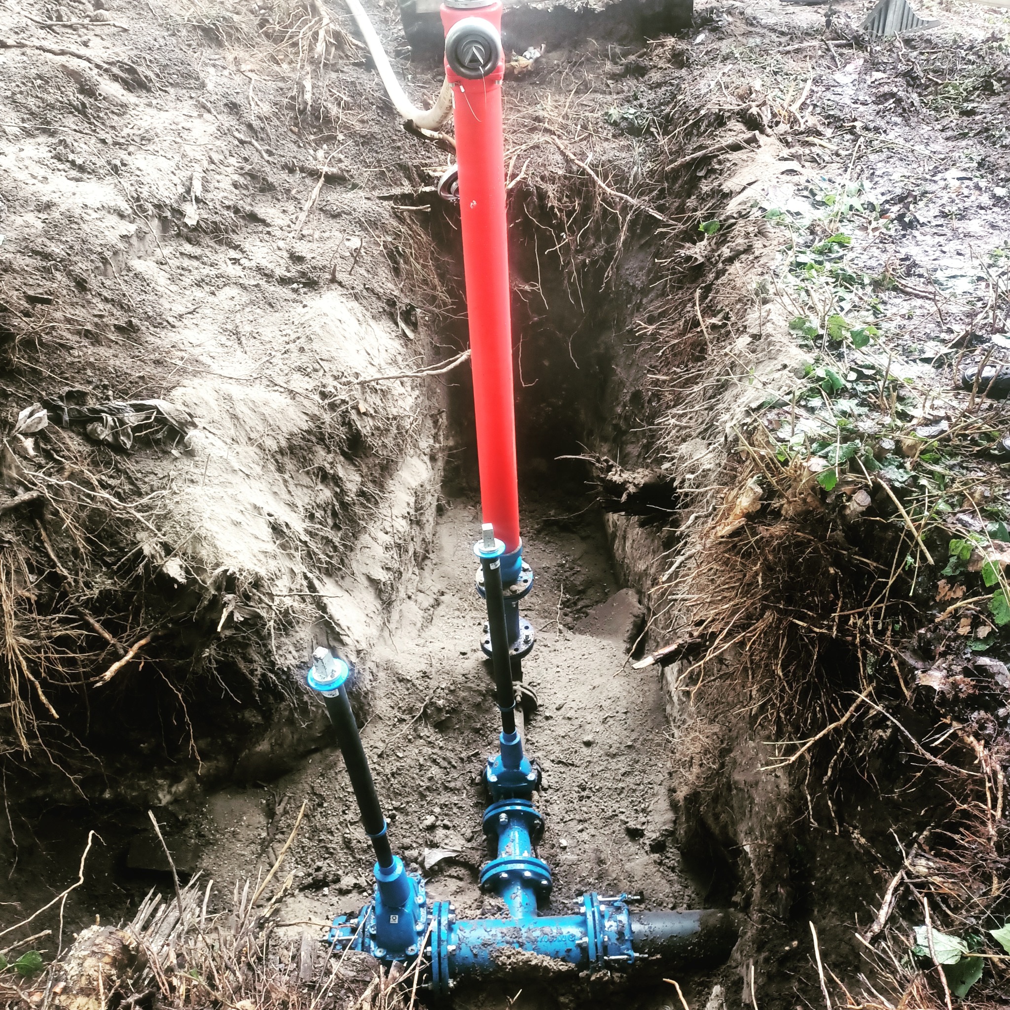 Wykop z widocznymi rurami wodociągowymi z niebieskimi złączkami i czerwoną rurą pionową, otoczony ziemią i korzeniami drzew.
