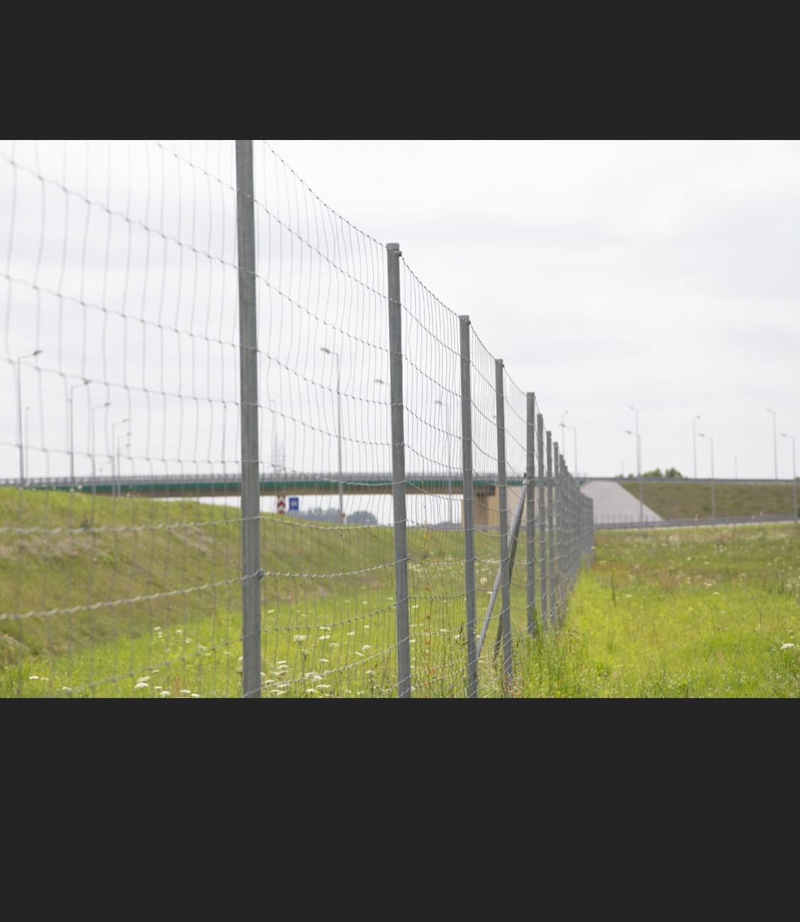 Długa, metalowa siatka ogrodzeniowa z równomiernie rozmieszczonymi słupkami, biegnąca wzdłuż drogi i zielonego terenu, z wiaduktem widocznym w oddali.