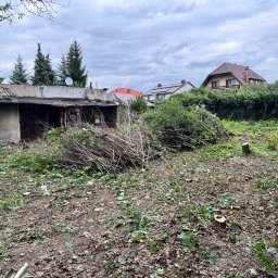 W001 SPÓŁKA Z OGRANICZONĄ ODPOWIEDZIALNOŚCIĄ - Teren po wycince drzew z pociętymi gałęziami i pniem, widoczny stary budynek gospodarczy i domy w tle.