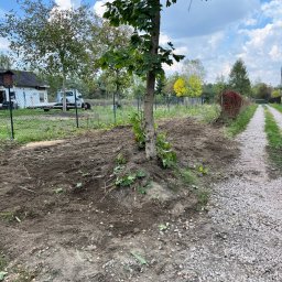 W001 SPÓŁKA Z OGRANICZONĄ ODPOWIEDZIALNOŚCIĄ - Teren po wycince drzewa z pozostawionym pniem, widoczne ślady po korzeniach i resztki gałęzi na ziemi, w tle ogrodzenie z siatki i zabudowania gospodarcze.
