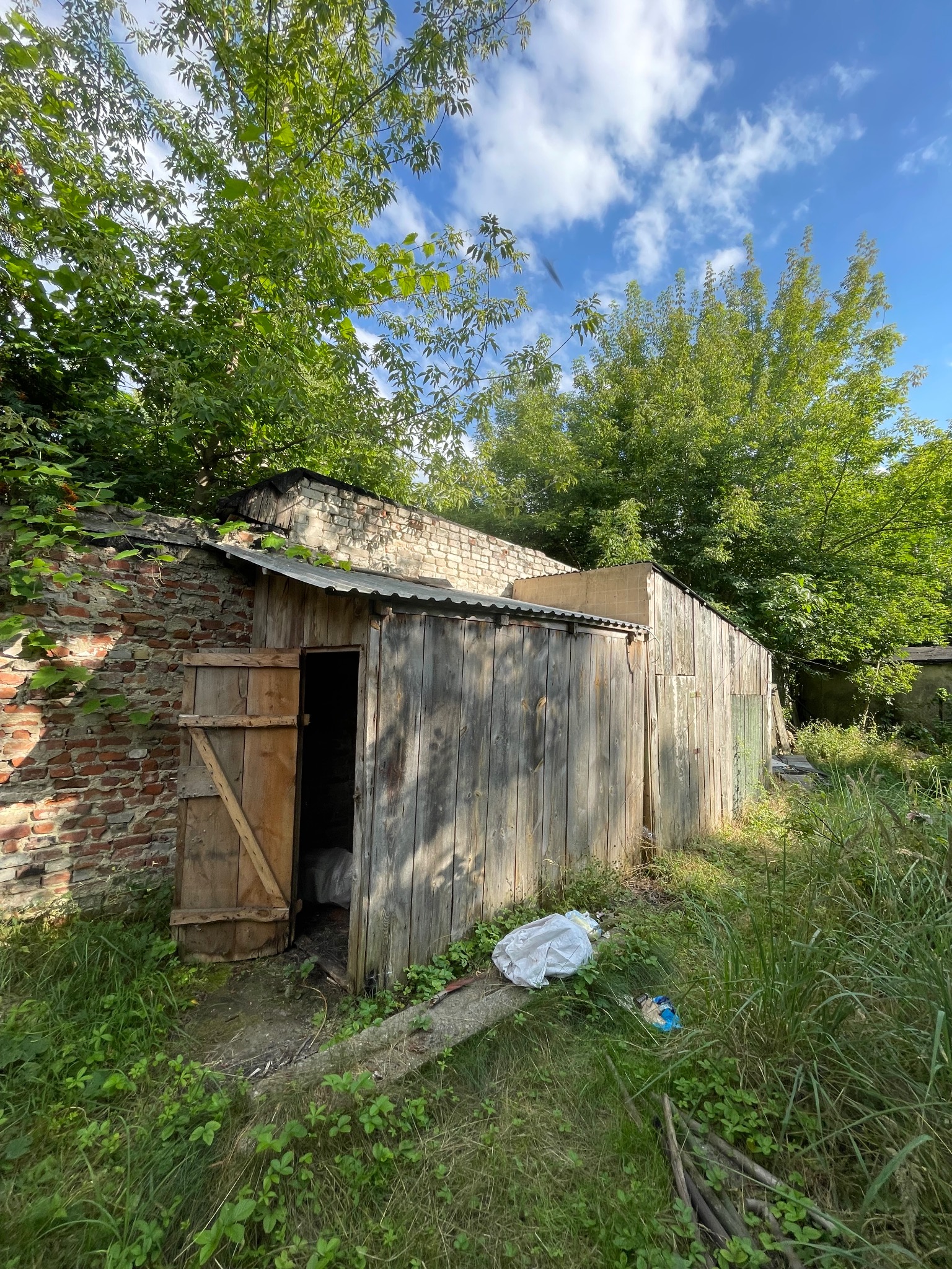 Stara, drewniana szopa z otwartymi drzwiami, obok ceglany budynek, zarośnięta trawa i śmieci na ziemi, widok w słoneczny dzień.